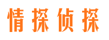 樊城外遇出轨调查取证